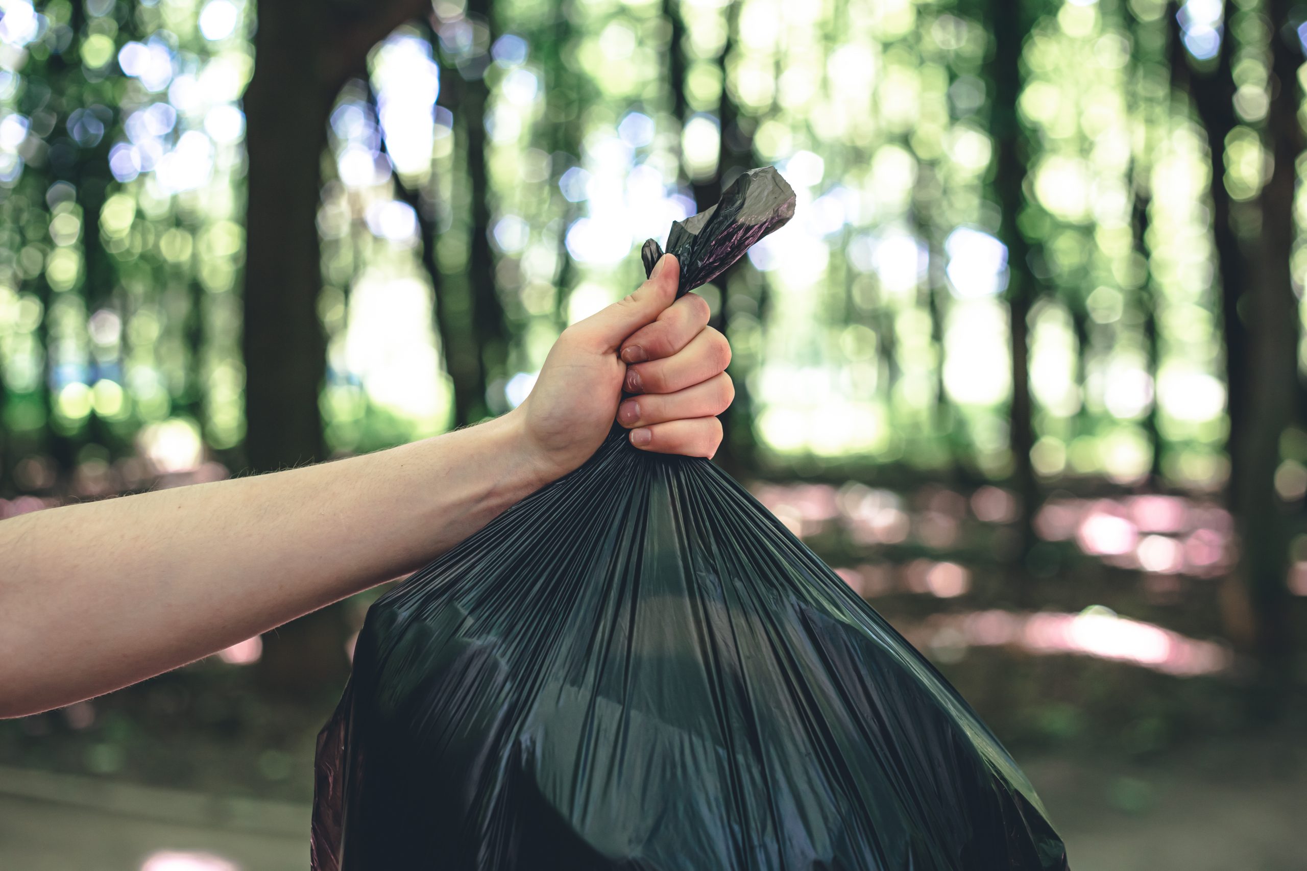 Close-up, a bag of garbage on a blurred background of the forest